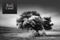 Raúl Casal – Photography